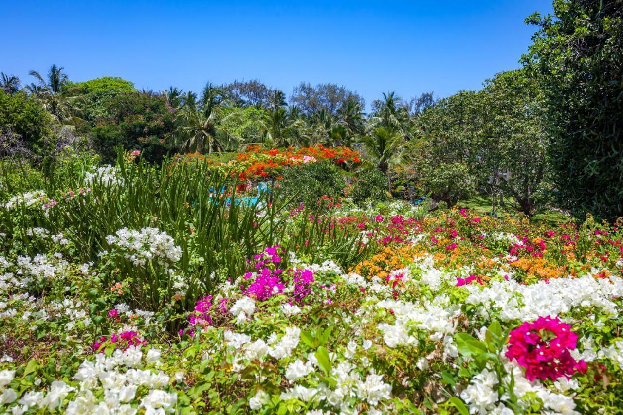 Diani Sea Resort เดียนีบีช ภายนอก รูปภาพ